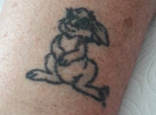 Antes — Cobertura Skin Art